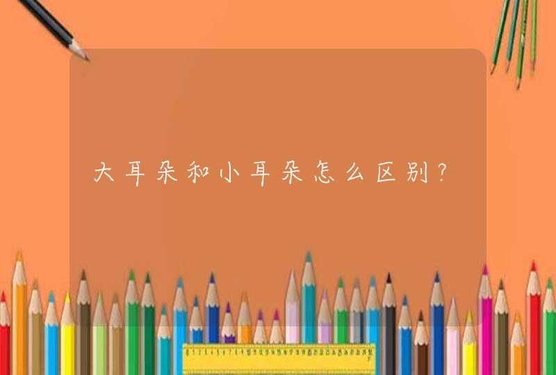 大耳朵和小耳朵怎么区别？,第1张