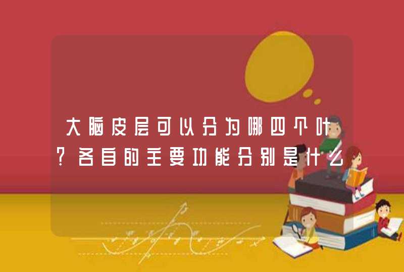 大脑皮层可以分为哪四个叶？各自的主要功能分别是什么？,第1张