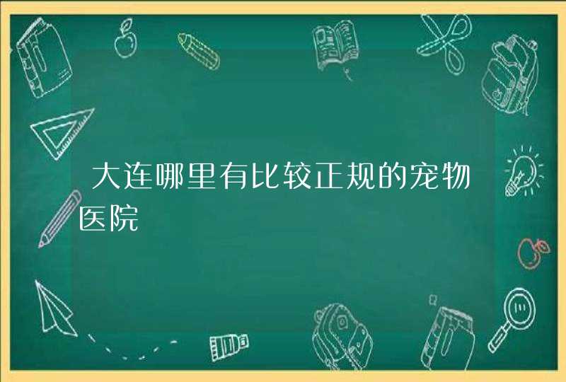 大连哪里有比较正规的宠物医院,第1张