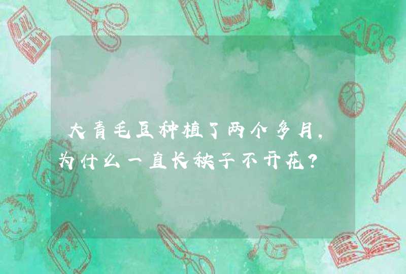 大青毛豆种植了两个多月，为什么一直长秧子不开花？,第1张