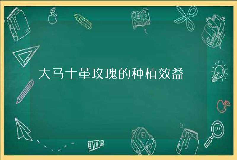 大马士革玫瑰的种植效益,第1张