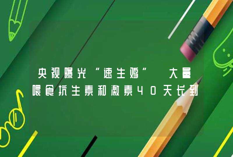 央视曝光“速生鸡” 大量喂食抗生素和激素40天长到5斤,第1张