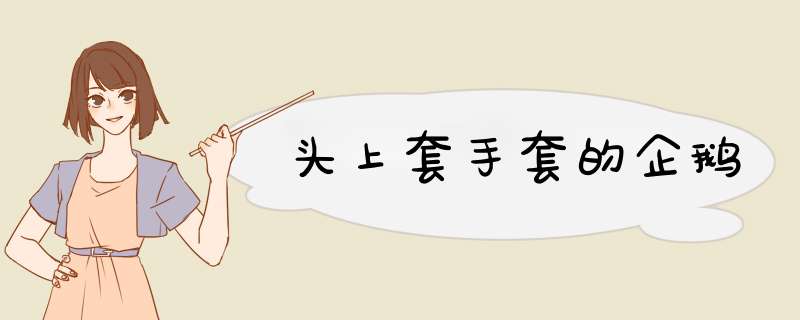 头上套手套的企鹅,第1张