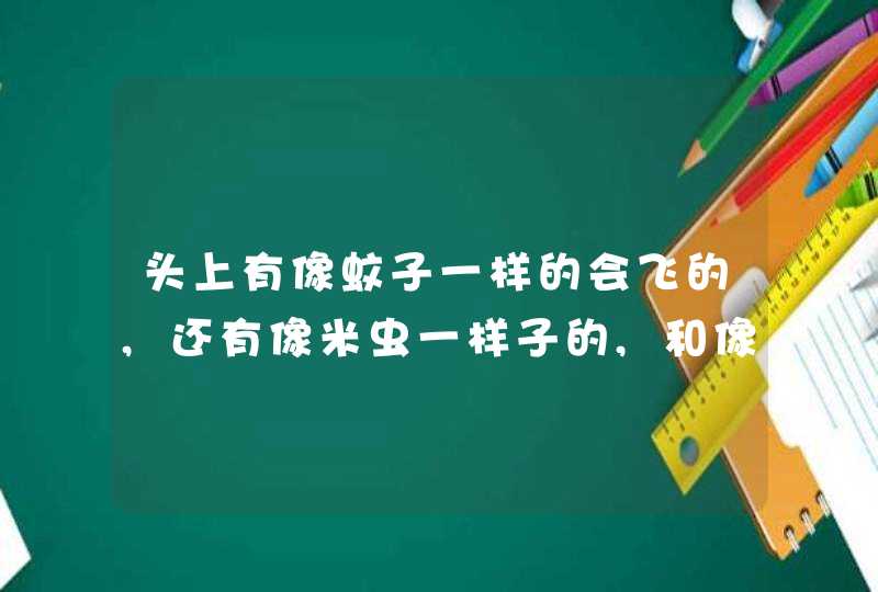 头上有像蚊子一样的会飞的,还有像米虫一样子的,和像萤火虫一样的虫子,第1张