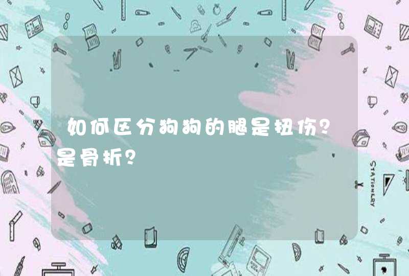 如何区分狗狗的腿是扭伤？是骨折？,第1张