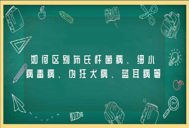 如何区别布氏杆菌病、细小病毒病、伪狂犬病、蓝耳病等几种猪繁殖障碍病？,第1张