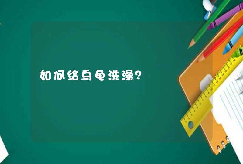 如何给乌龟洗澡？,第1张