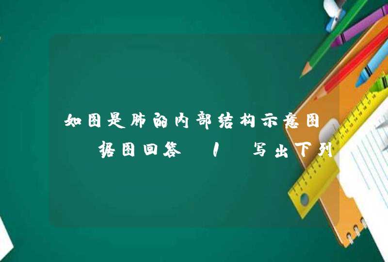 如图是肺的内部结构示意图，请据图回答（1）写出下列各部分的名称：[2]______[3]______[5]______[6]_____,第1张