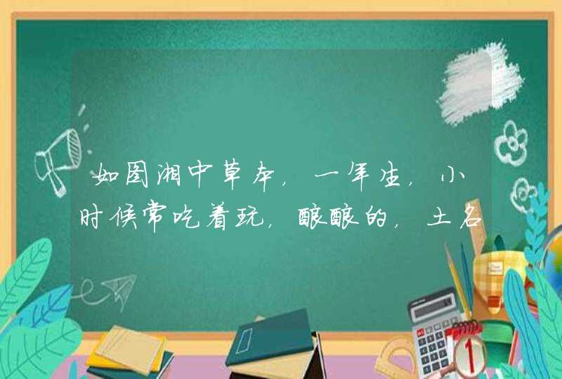 如图湘中草本，一年生，小时候常吃着玩，酸酸的，土名酸筒杆，茎高约一米，空心的，杆径约1_2cm，印,第1张