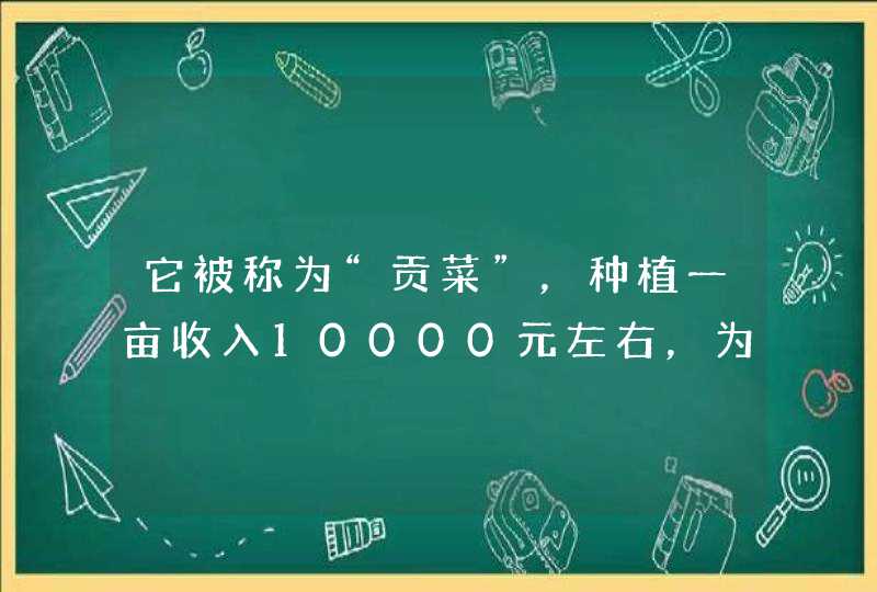 它被称为“贡菜”，种植一亩收入10000元左右，为何有的农民不乐意种？,第1张