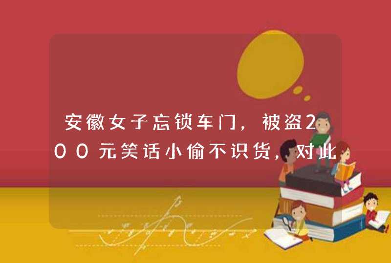 安徽女子忘锁车门，被盗200元笑话小偷不识货，对此你怎么看,第1张