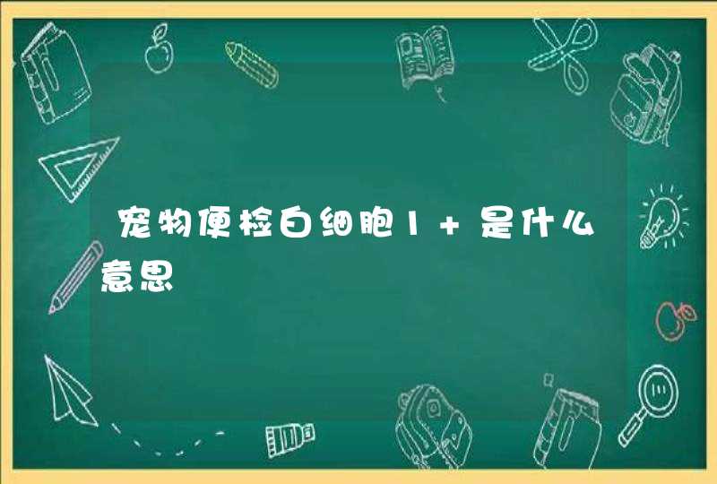 宠物便检白细胞1+是什么意思,第1张