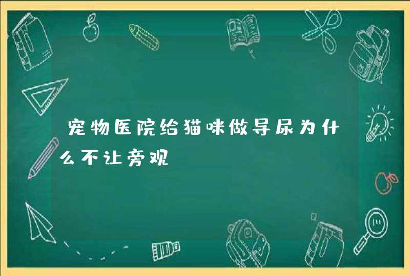 宠物医院给猫咪做导尿为什么不让旁观,第1张