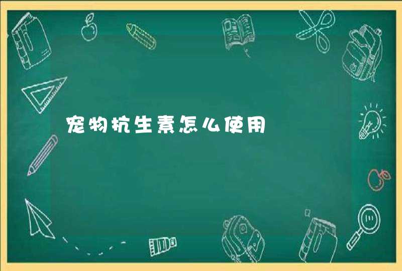 宠物抗生素怎么使用,第1张