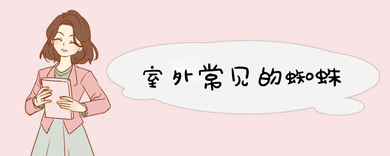 室外常见的蜘蛛,第1张