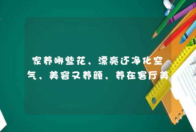 家养哪些花，漂亮还净化空气，美容又养颜，养在客厅美极了呢？,第1张