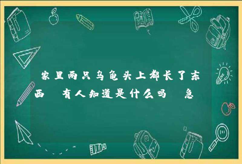 家里两只乌龟头上都长了东西，有人知道是什么吗?急！！,第1张