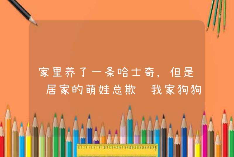 家里养了一条哈士奇，但是邻居家的萌娃总欺负我家狗狗，该怎么办？,第1张