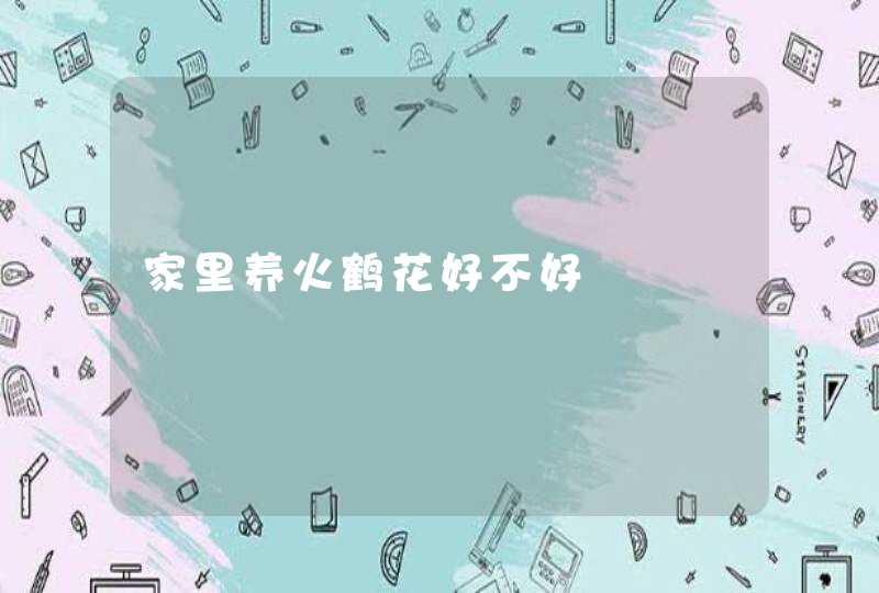 家里养火鹤花好不好,第1张