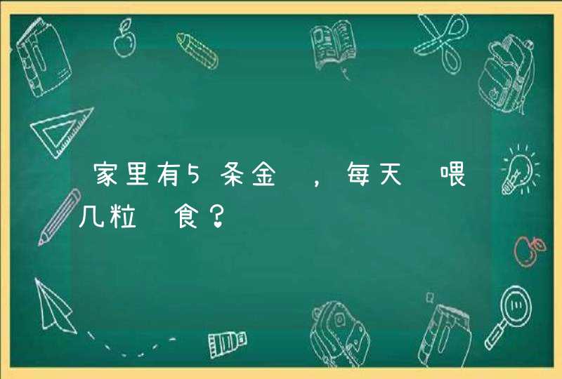 家里有5条金鱼，每天该喂几粒鱼食？,第1张