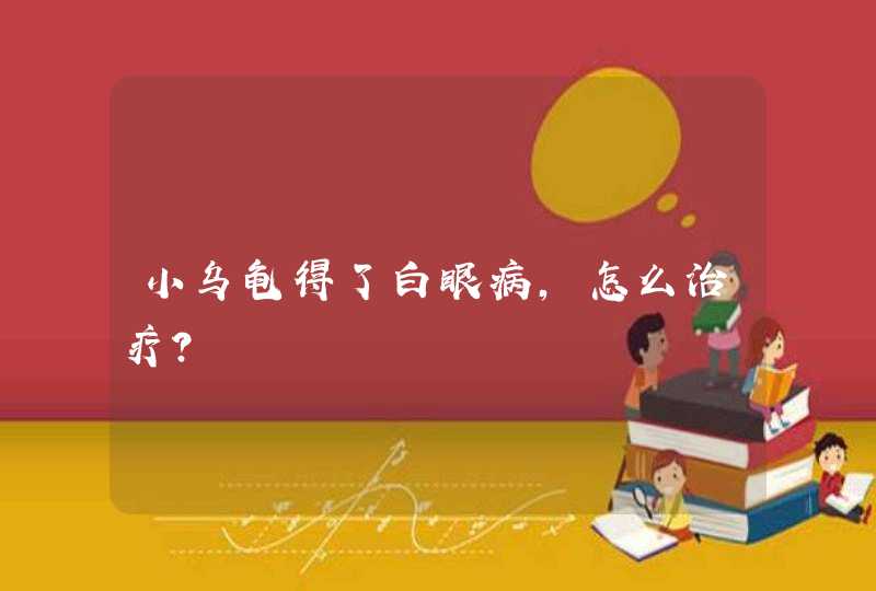 小乌龟得了白眼病，怎么治疗？,第1张