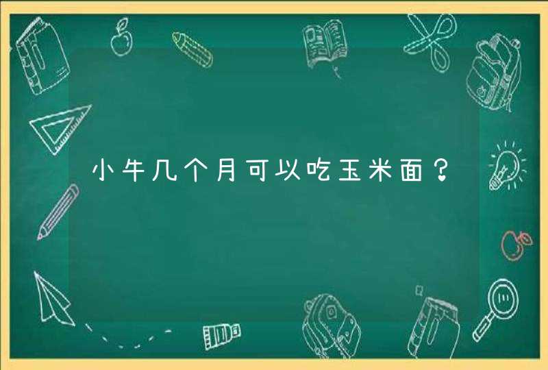 小牛几个月可以吃玉米面？,第1张