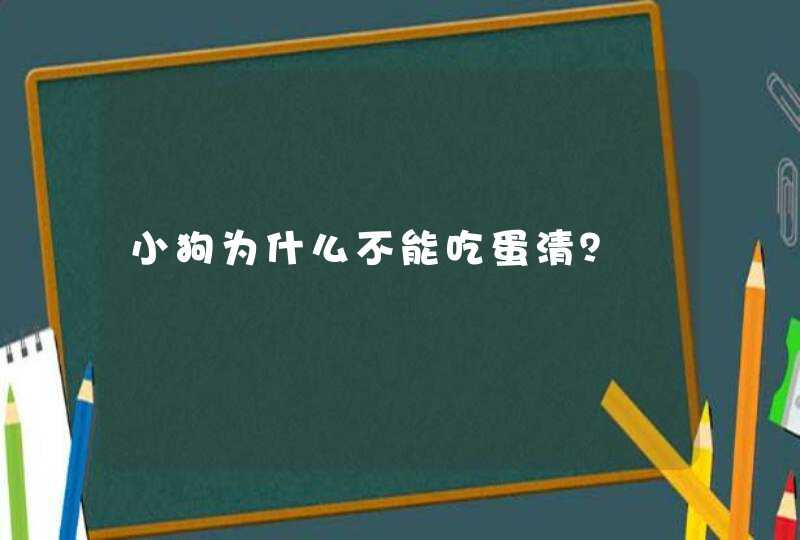 小狗为什么不能吃蛋清？,第1张