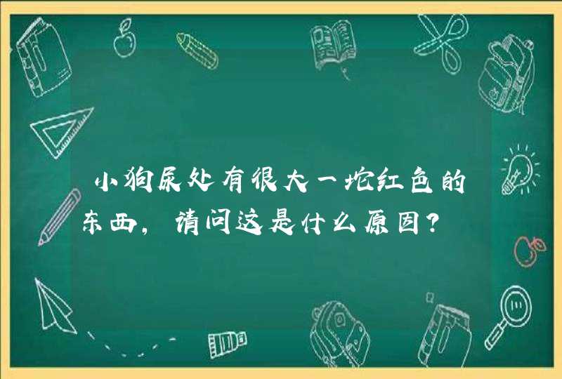 小狗尿处有很大一坨红色的东西，请问这是什么原因？,第1张