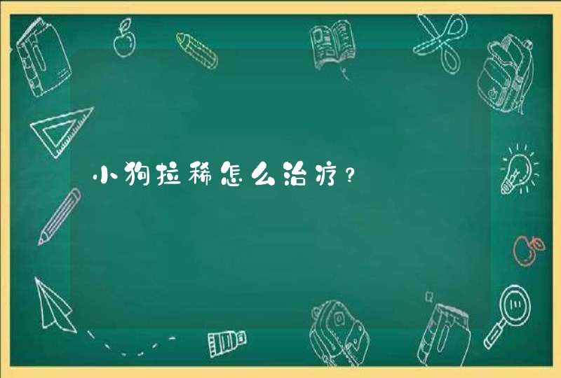 小狗拉稀怎么治疗？,第1张