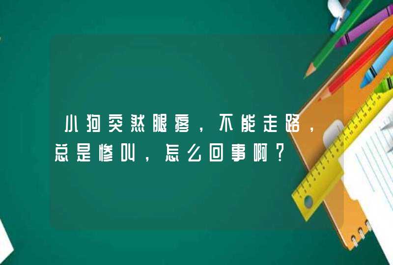 小狗突然腿疼，不能走路，总是惨叫，怎么回事啊？,第1张