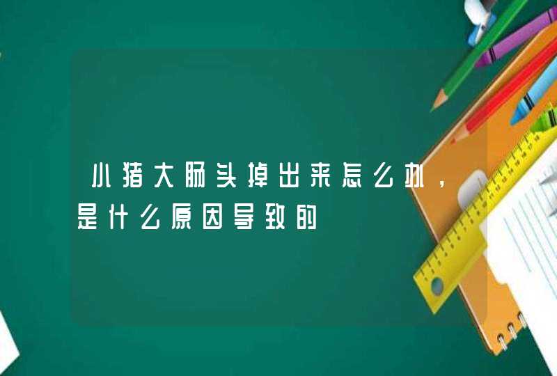 小猪大肠头掉出来怎么办，是什么原因导致的,第1张