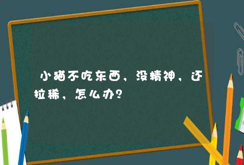 小猫不吃东西，没精神，还拉稀，怎么办？,第1张