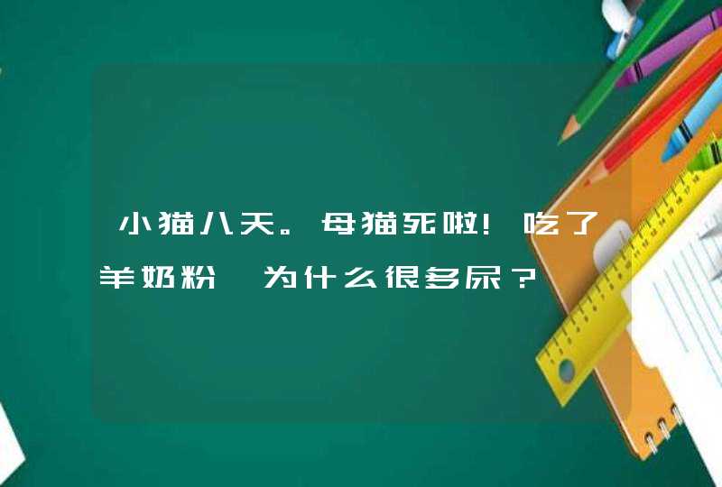 小猫八天。母猫死啦!吃了羊奶粉,为什么很多尿？,第1张