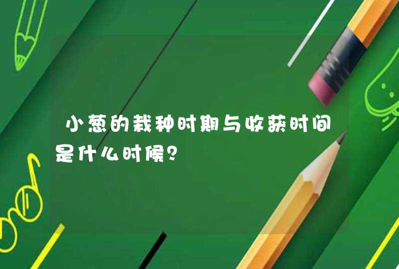 小葱的栽种时期与收获时间是什么时候？,第1张