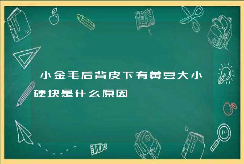 小金毛后背皮下有黄豆大小硬块是什么原因,第1张