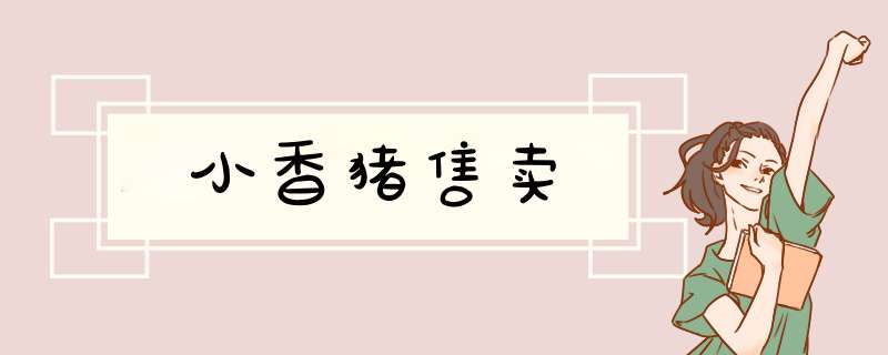 小香猪售卖,第1张