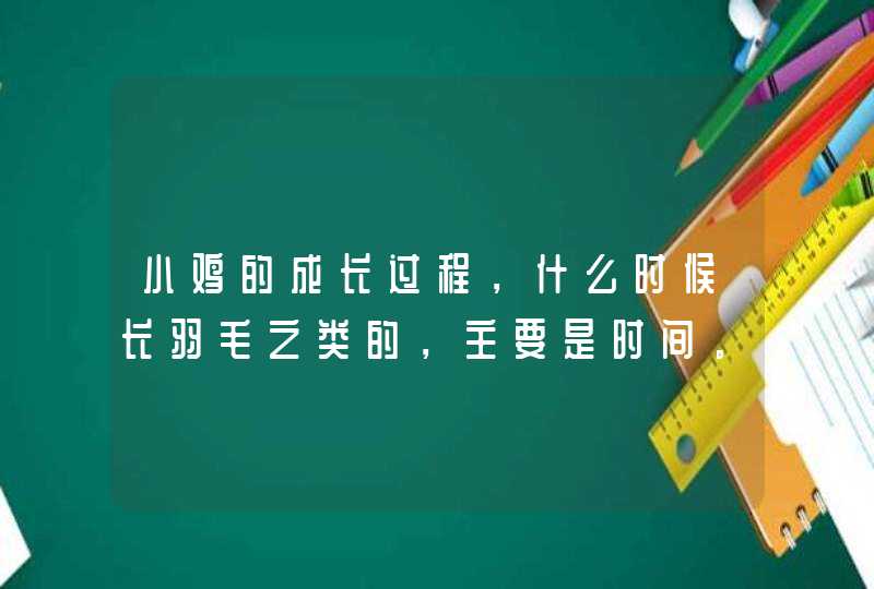 小鸡的成长过程，什么时候长羽毛之类的，主要是时间。,第1张