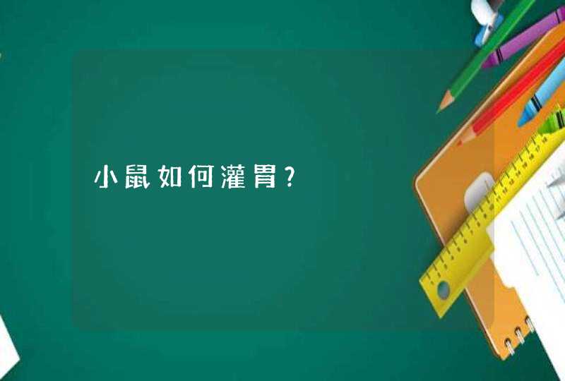 小鼠如何灌胃？,第1张