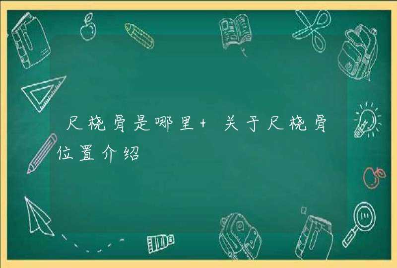 尺桡骨是哪里 关于尺桡骨位置介绍,第1张