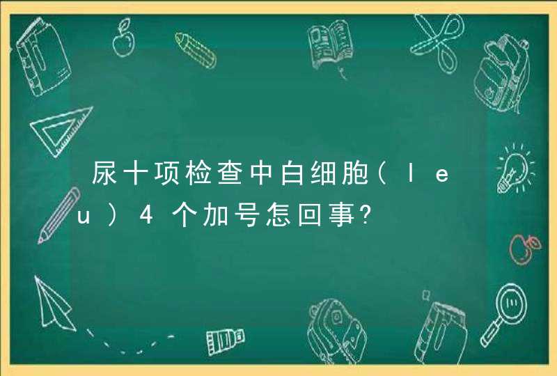 尿十项检查中白细胞(leu)4个加号怎回事?,第1张