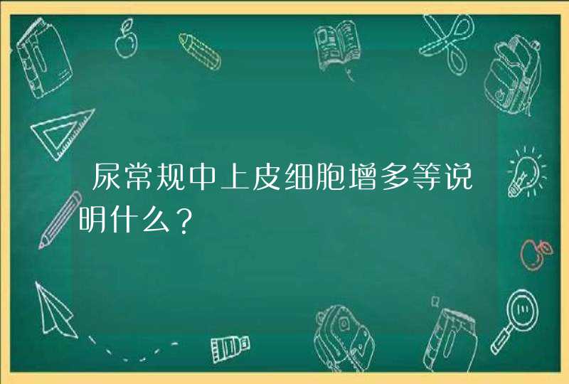 尿常规中上皮细胞增多等说明什么？,第1张