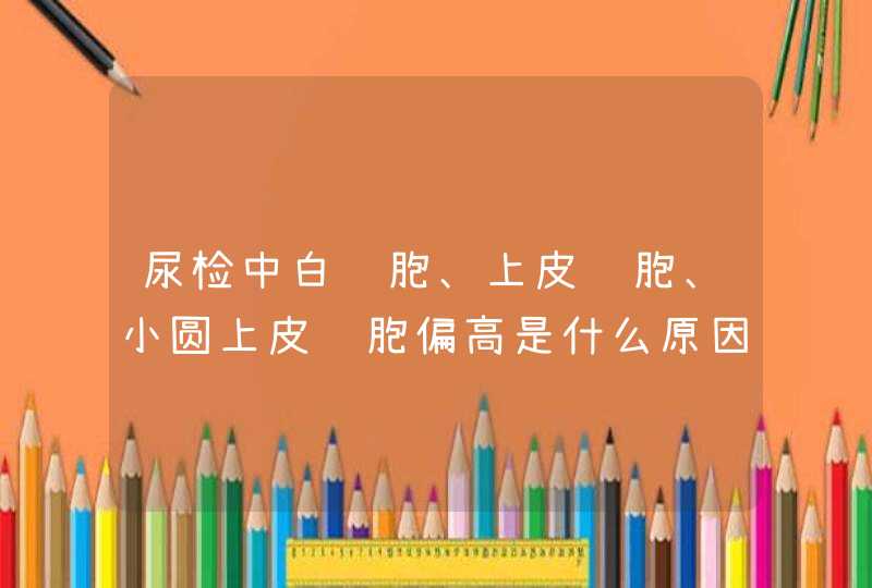 尿检中白细胞、上皮细胞、小圆上皮细胞偏高是什么原因,第1张