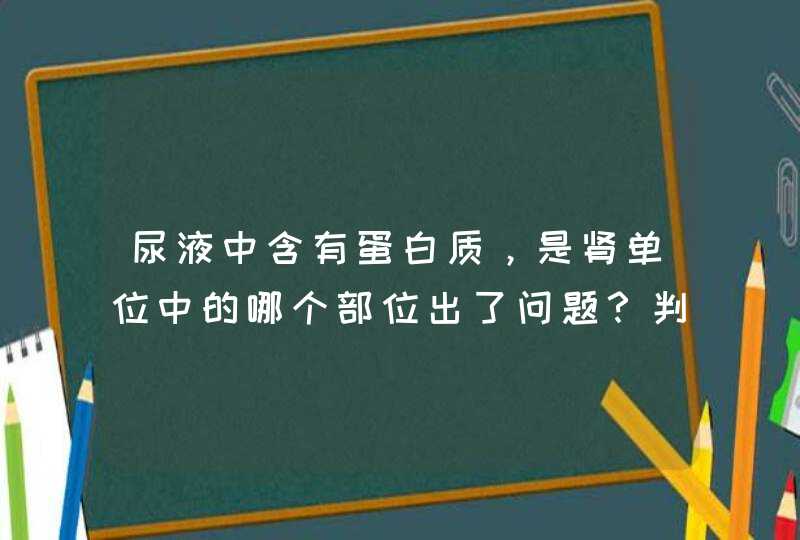 尿液中含有蛋白质，是肾单位中的哪个部位出了问题？判断理由是什么？,第1张