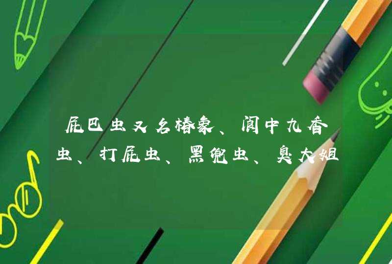 屁巴虫又名椿象、阆中九香虫、打屁虫、黑兜虫、臭大姐，有哪些药用价值？,第1张