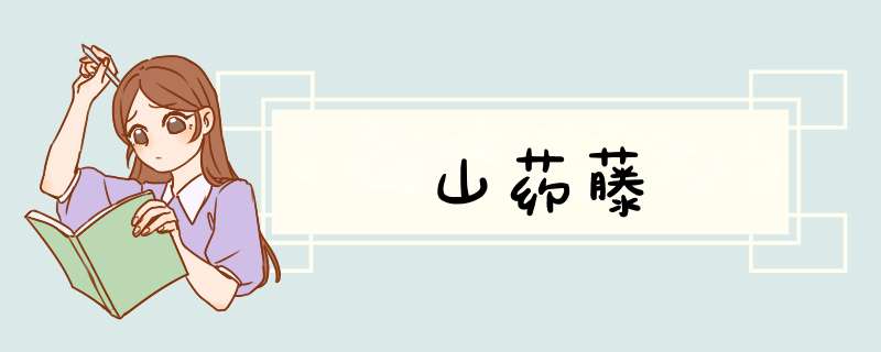 山药藤,第1张