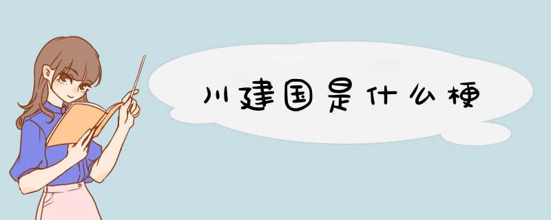 川建国是什么梗,第1张