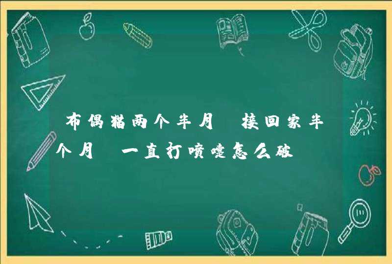 布偶猫两个半月，接回家半个月，一直打喷嚏怎么破,第1张