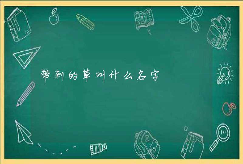 带刺的草叫什么名字,第1张