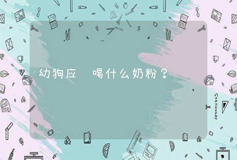 幼狗应该喝什么奶粉？,第1张