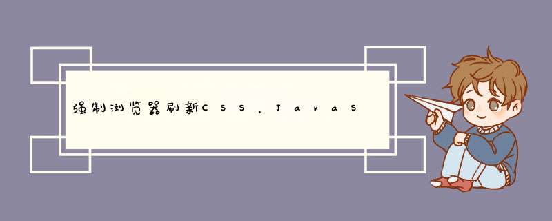 强制浏览器刷新CSS，JavaScript等,第1张